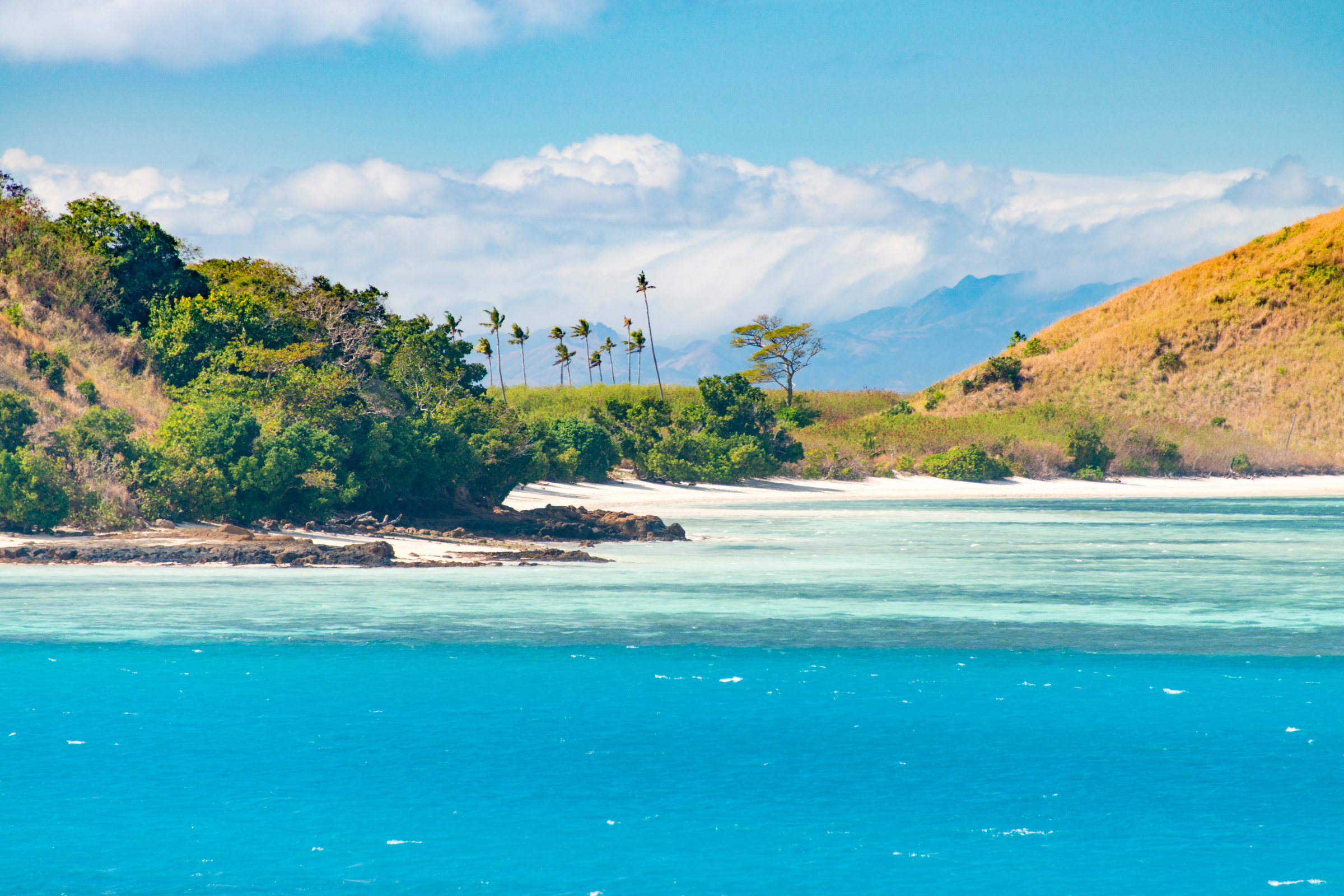 ringgold isles (4).webp